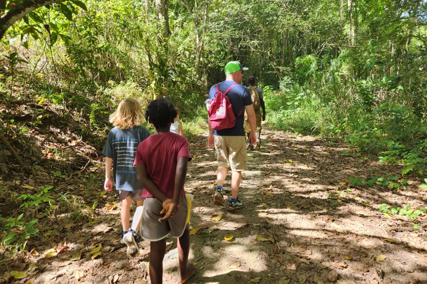 Jungle Hike Adventure image 1