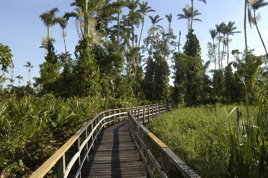 Royal Palm Reserve image 1