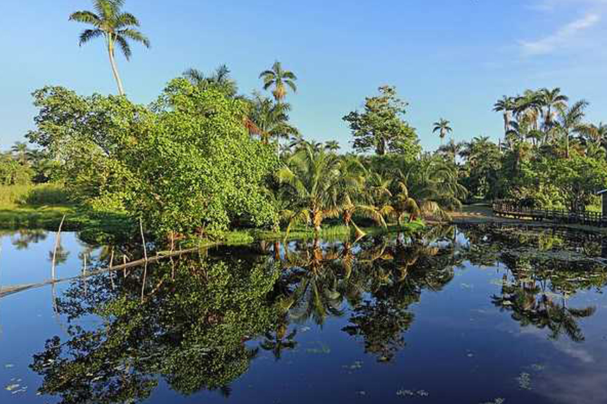 Royal Palm Reserve thumbnail 2