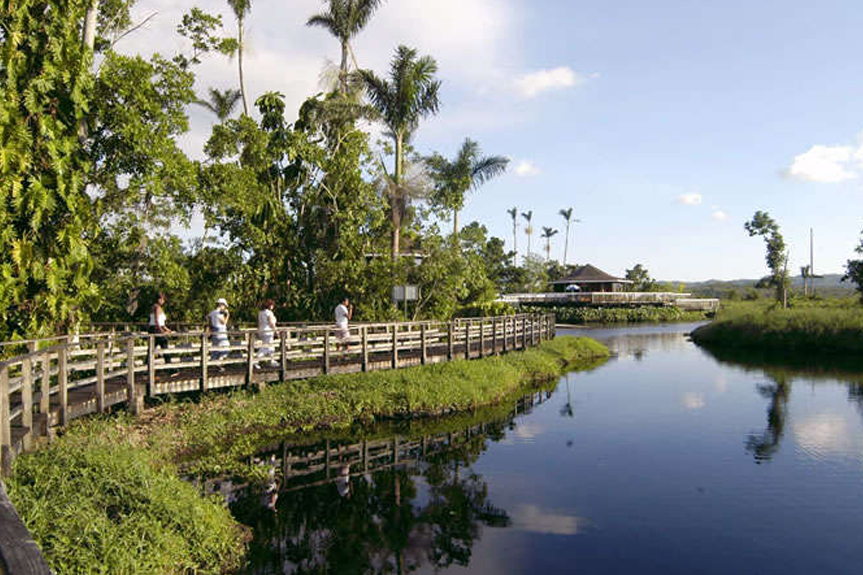 Royal Palm Reserve thumbnail 3