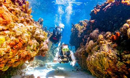 Negril Coral Reef